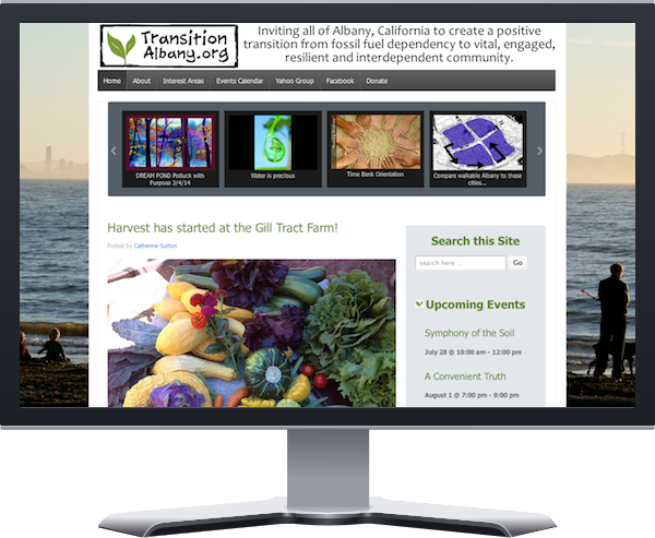Website image on computer